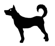 LGD (Livestock Guardian Dog)