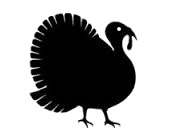 turkey